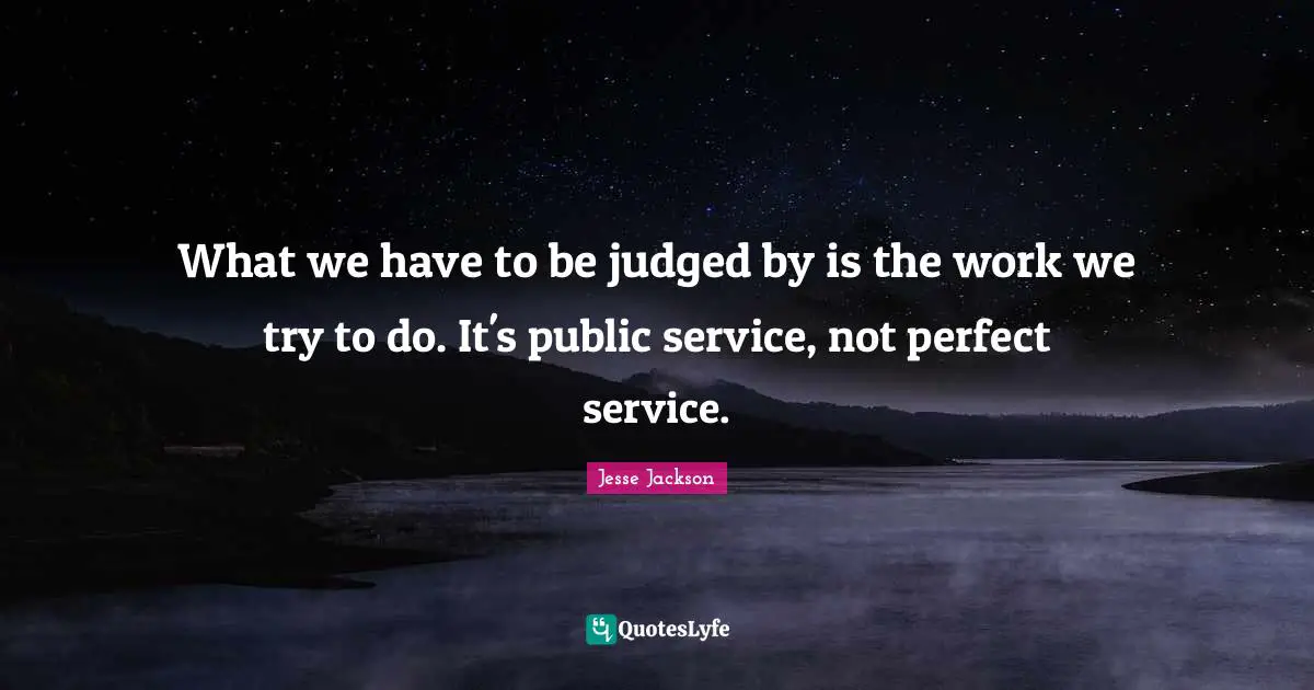 What we have to be judged by is the work we try to do. It's public service, not perfect service.
