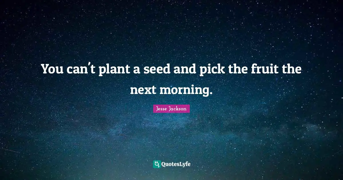 You can't plant a seed and pick the fruit the next morning.