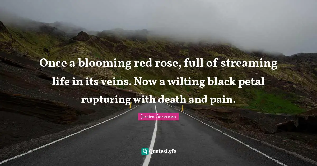 Once a blooming red rose, full of streaming life in its veins. Now a wilting black petal rupturing with death and pain.