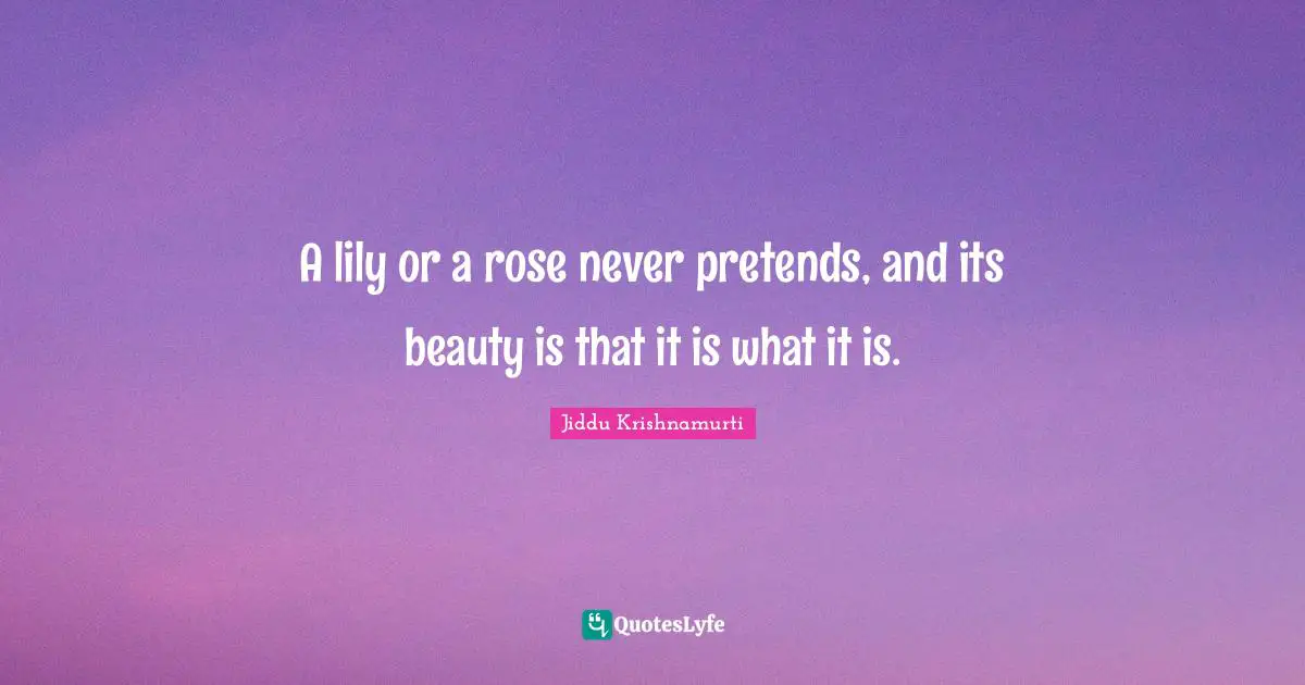 Rose Quotes: "A lily or a rose never pretends, and its beauty is that it is what it is."
