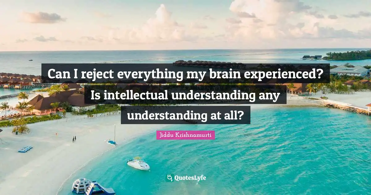 Can I reject everything my brain experienced? Is intellectual understanding any understanding at all?