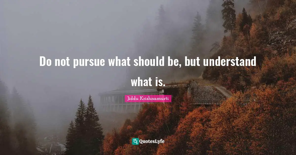 Do not pursue what should be, but understand what is.