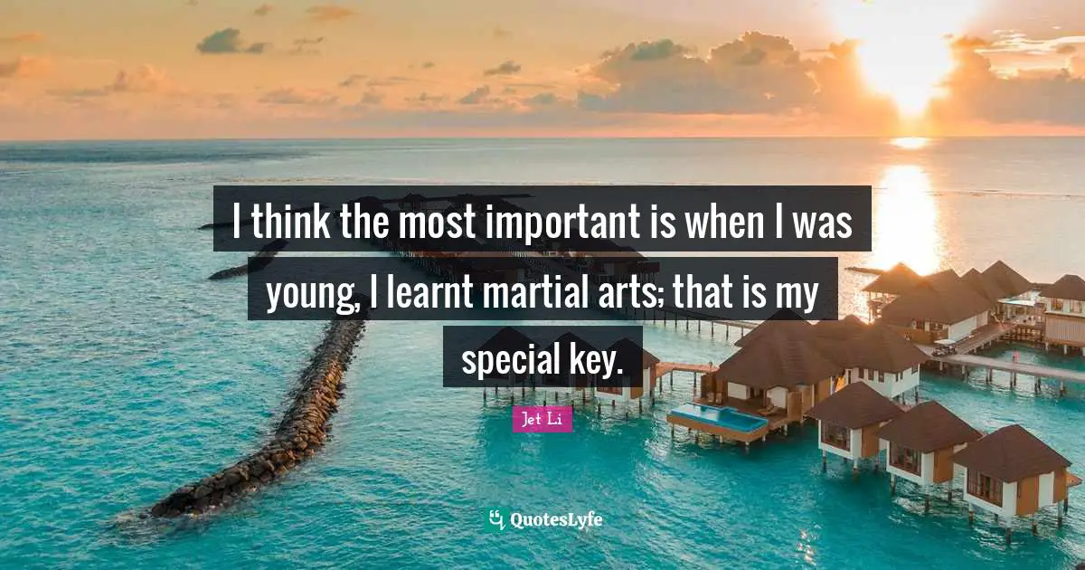 Jet Li Quotes: "I think the most important is when I was young, I learnt martial arts; that is my special key."