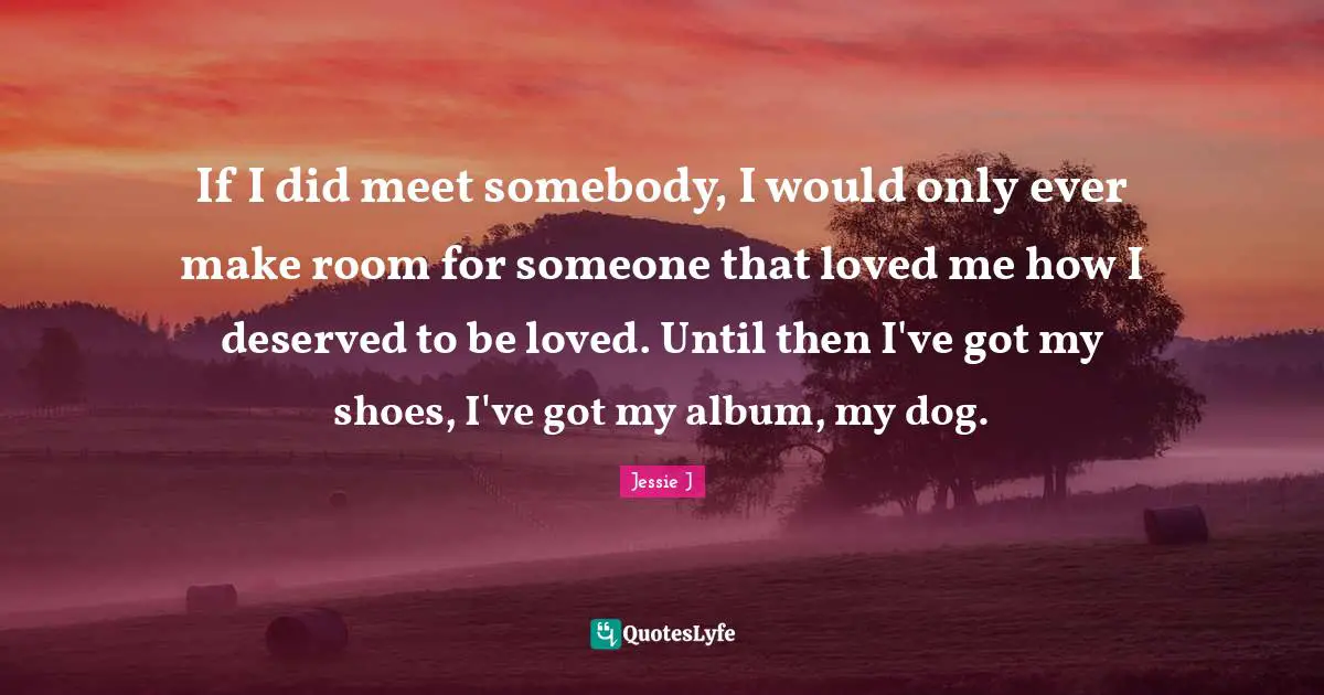 If I did meet somebody, I would only ever make room for someone that loved me how I deserved to be loved. Until then I've got my shoes, I've got my album, my dog.