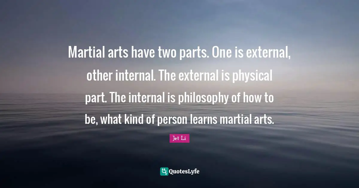 Jet Li Quotes: "Martial arts have two parts. One is external, other internal. The external is physical part. The internal is philosophy of how to be, what kind of person learns martial arts."