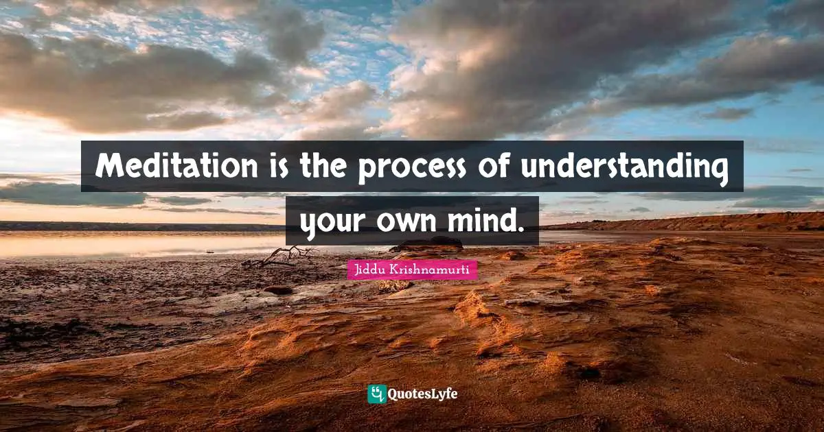 Meditation is the process of understanding your own mind.