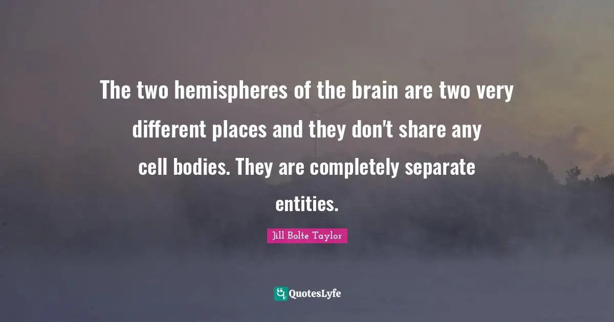 The two hemispheres of the brain are two very different places and they don't share any cell bodies. They are completely separate entities.