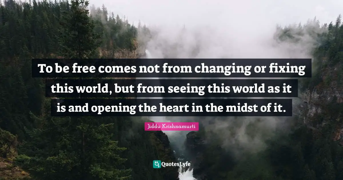 To be free comes not from changing or fixing this world, but from seeing this world as it is and opening the heart in the midst of it.