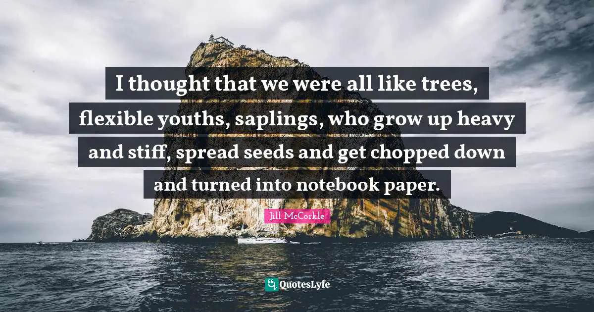 I thought that we were all like trees, flexible youths, saplings, who grow up heavy and stiff, spread seeds and get chopped down and turned into notebook paper.
