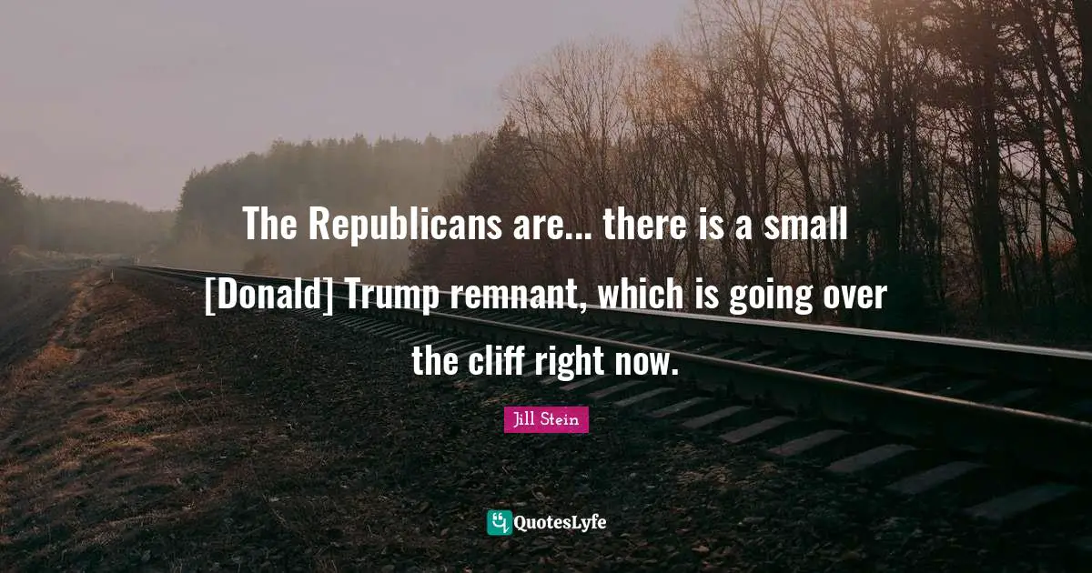 The Republicans are... there is a small [Donald] Trump remnant, which is going over the cliff right now.