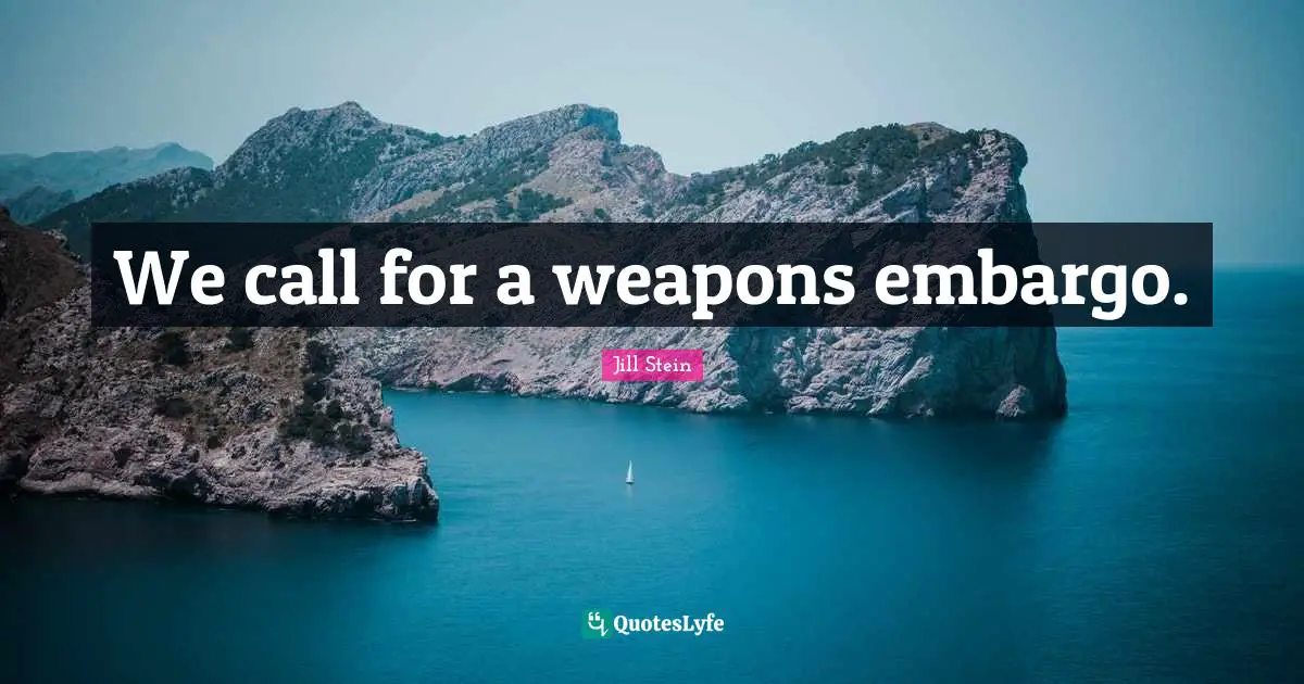 We call for a weapons embargo.