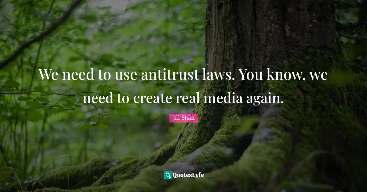 We need to use antitrust laws. You know, we need to create real media again.
