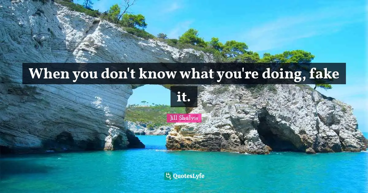 Jill Shalvis Quotes: When you don't know what you're doing, fake it.