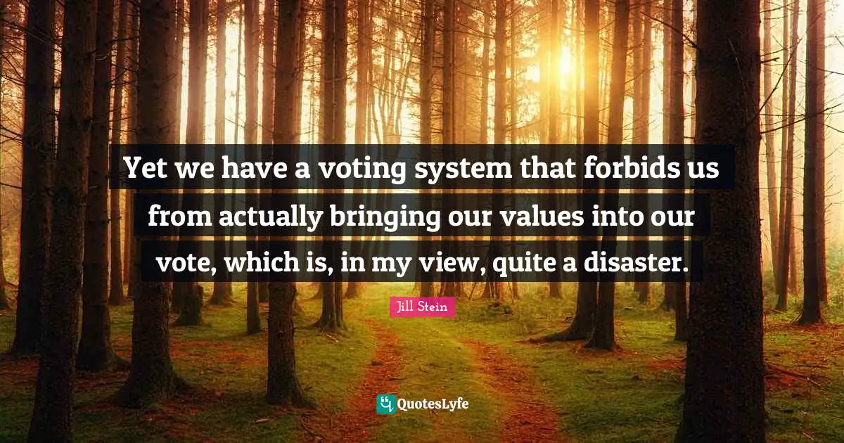 Yet we have a voting system that forbids us from actually bringing our values into our vote, which is, in my view, quite a disaster.