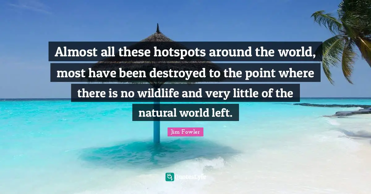 Almost all these hotspots around the world, most have been destroyed to the point where there is no wildlife and very little of the natural world left.
