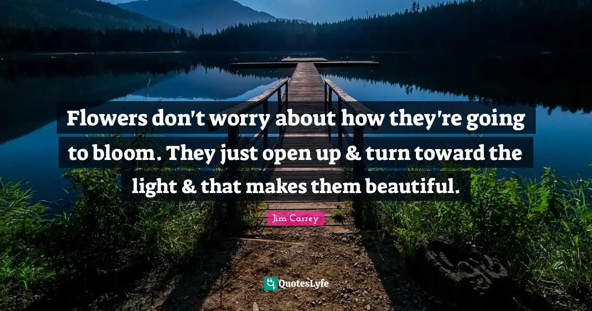 Jim Carrey Quotes: "Flowers don't worry about how they're going to bloom. They just open up & turn toward the light & that makes them beautiful."