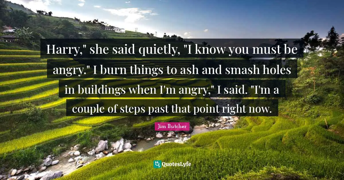 Harry," she said quietly, "I know you must be angry." I burn things to ash and smash holes in buildings when I'm angry," I said. "I'm a couple of steps past that point right now.