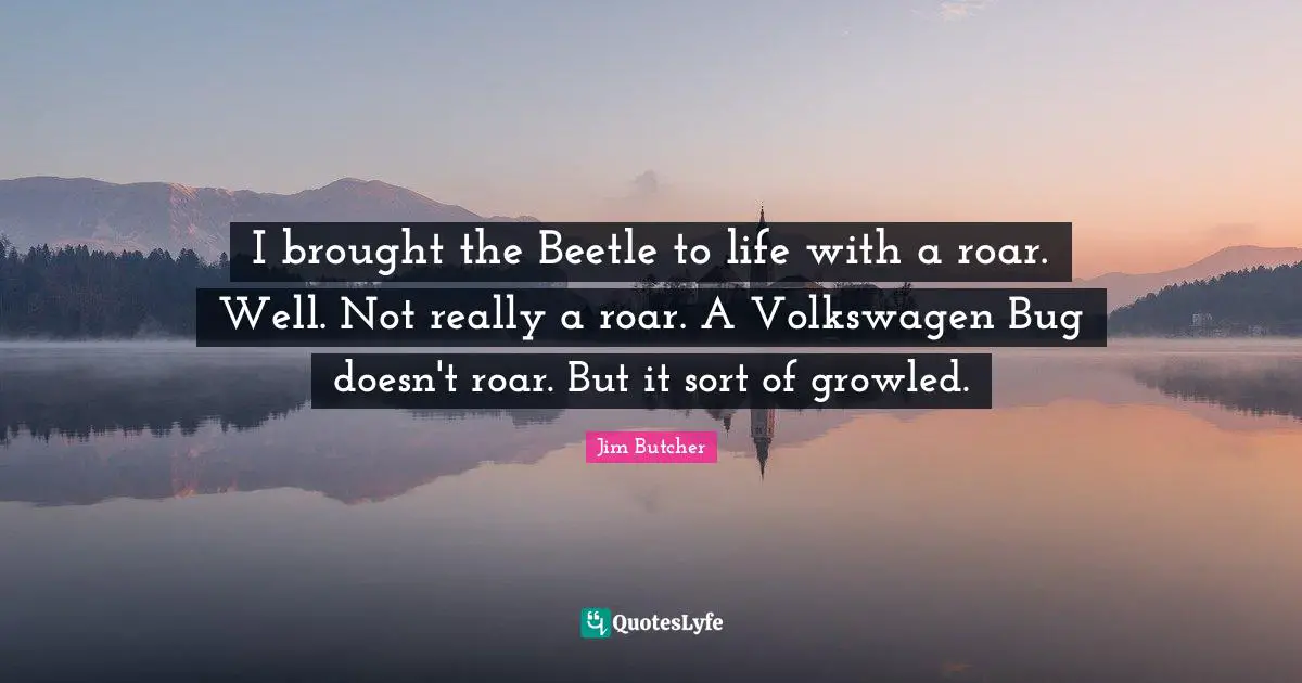 I brought the Beetle to life with a roar. Well. Not really a roar. A Volkswagen Bug doesn't roar. But it sort of growled.