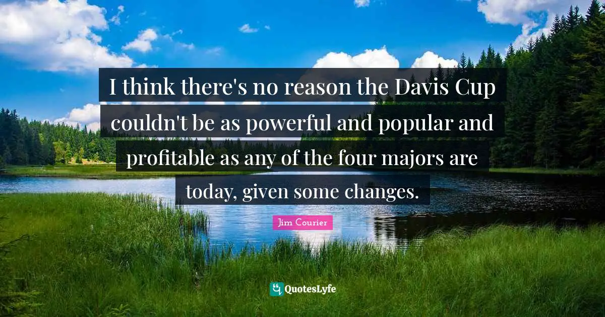 I think there's no reason the Davis Cup couldn't be as powerful and popular and profitable as any of the four majors are today, given some changes.