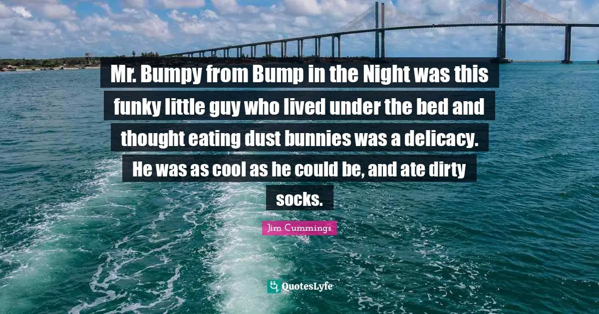 Mr. Bumpy from Bump in the Night was this funky little guy who lived under the bed and thought eating dust bunnies was a delicacy. He was as cool as he could be, and ate dirty socks.