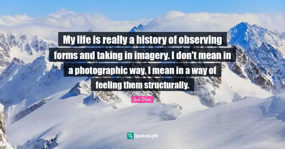 Imagery Quotes: "My life is really a history of observing forms and taking in imagery. I don't mean in a photographic way, I mean in a way of feeling them structurally."