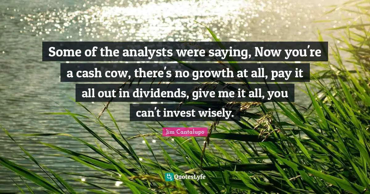 Some of the analysts were saying, Now you're a cash cow, there's no growth at all, pay it all out in dividends, give me it all, you can't invest wisely.