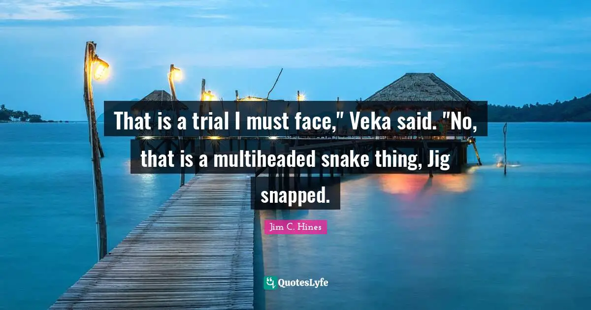 That is a trial I must face," Veka said. "No, that is a multiheaded snake thing, Jig snapped.