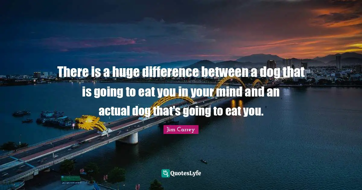 There is a huge difference between a dog that is going to eat you in your mind and an actual dog that's going to eat you.