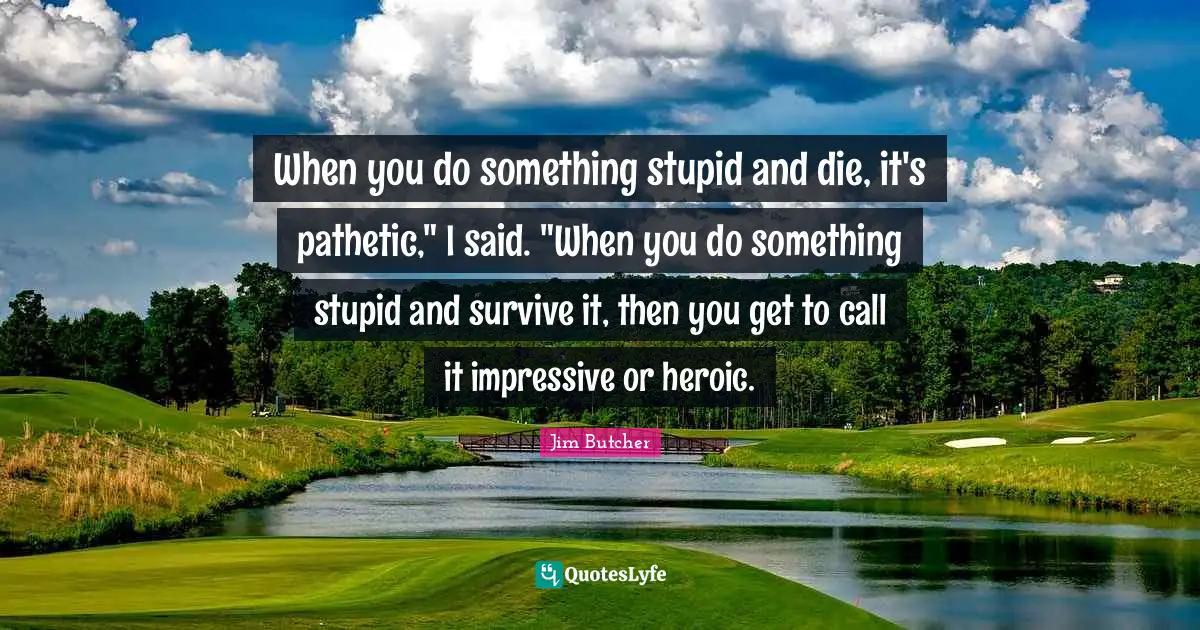 When you do something stupid and die, it's pathetic," I said. "When you do something stupid and survive it, then you get to call it impressive or heroic.