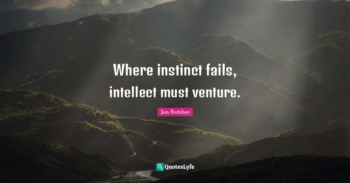 Where instinct fails, intellect must venture.
