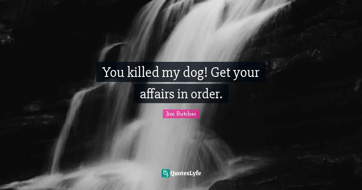 You killed my dog! Get your affairs in order.