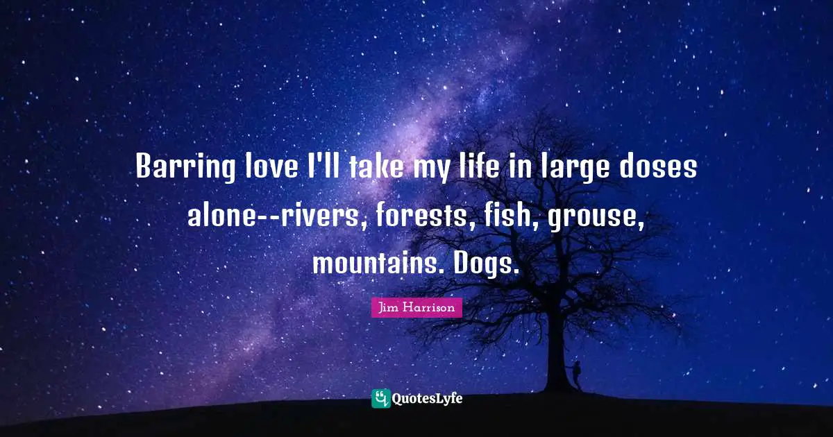 Dog Quotes: "Barring love I'll take my life in large doses alone--rivers, forests, fish, grouse, mountains. Dogs."