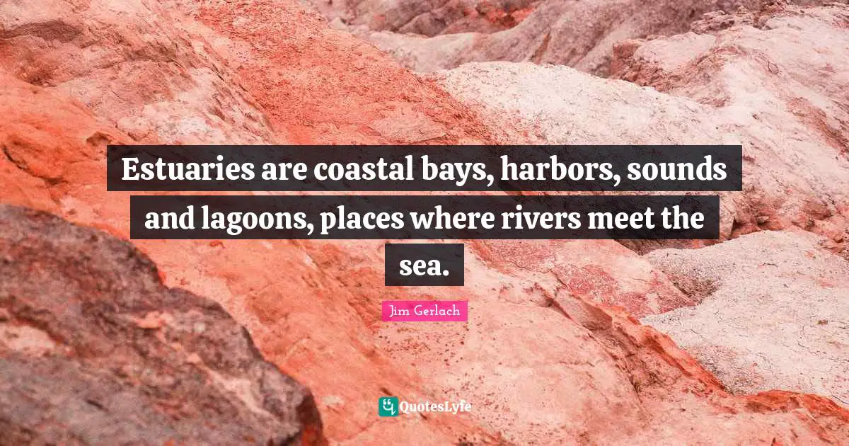Sea Quotes: "Estuaries are coastal bays, harbors, sounds and lagoons, places where rivers meet the sea."