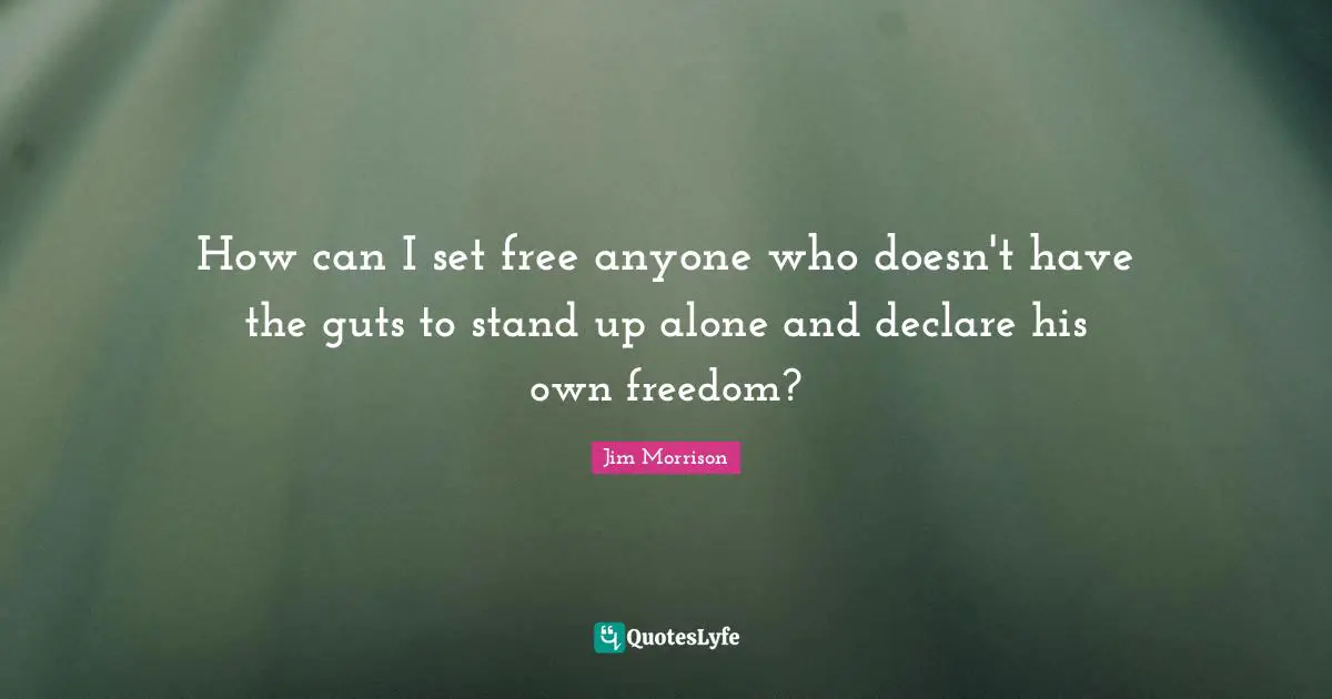 How can I set free anyone who doesn't have the guts to stand up alone and declare his own freedom?