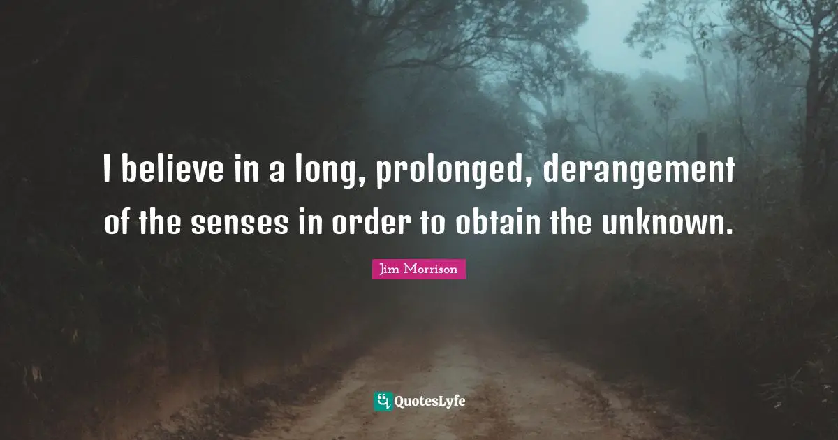 I believe in a long, prolonged, derangement of the senses in order to obtain the unknown.