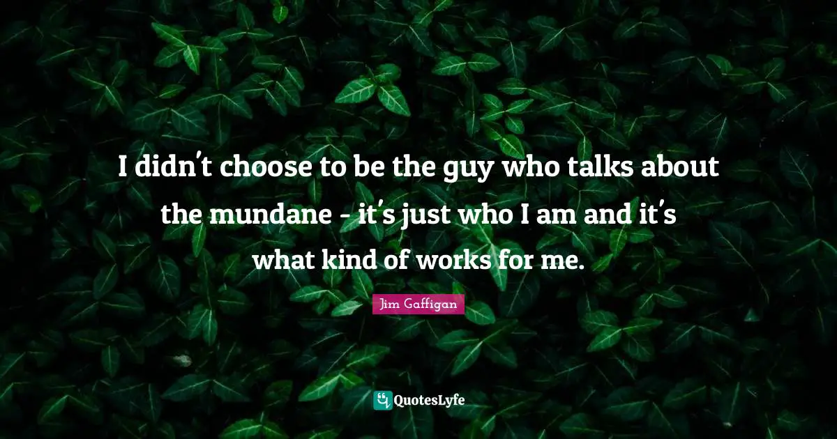 I didn't choose to be the guy who talks about the mundane - it's just who I am and it's what kind of works for me.