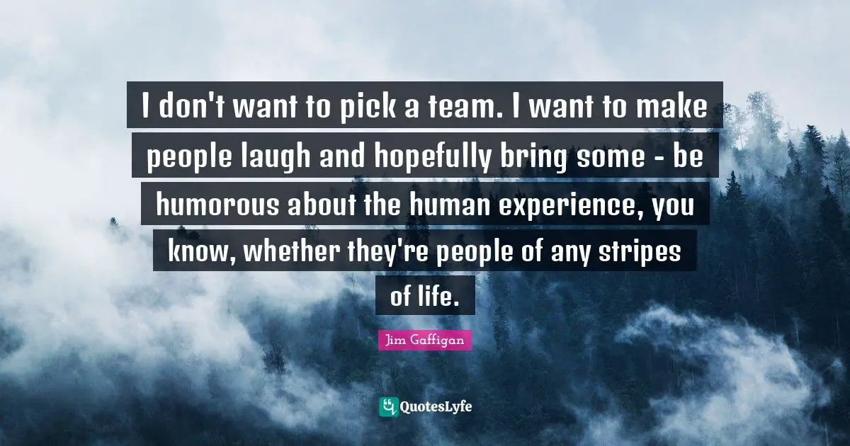 I don't want to pick a team. I want to make people laugh and hopefully bring some - be humorous about the human experience, you know, whether they're people of any stripes of life.