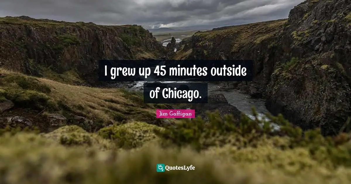 Jim Gaffigan Quotes: "I grew up 45 minutes outside of Chicago."