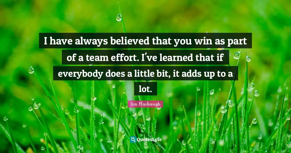 Effort Quotes: "I have always believed that you win as part of a team effort. I've learned that if everybody does a little bit, it adds up to a lot."