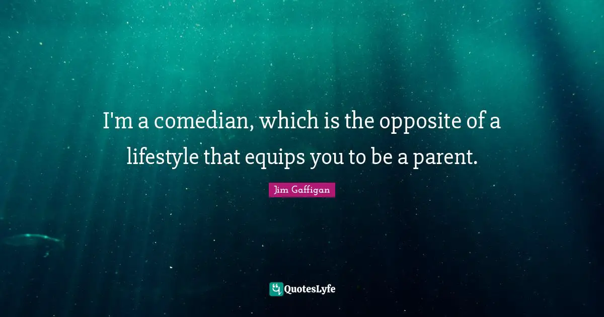 I'm a comedian, which is the opposite of a lifestyle that equips you to be a parent.