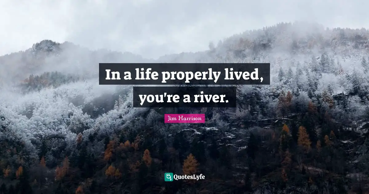 In a life properly lived, you're a river.