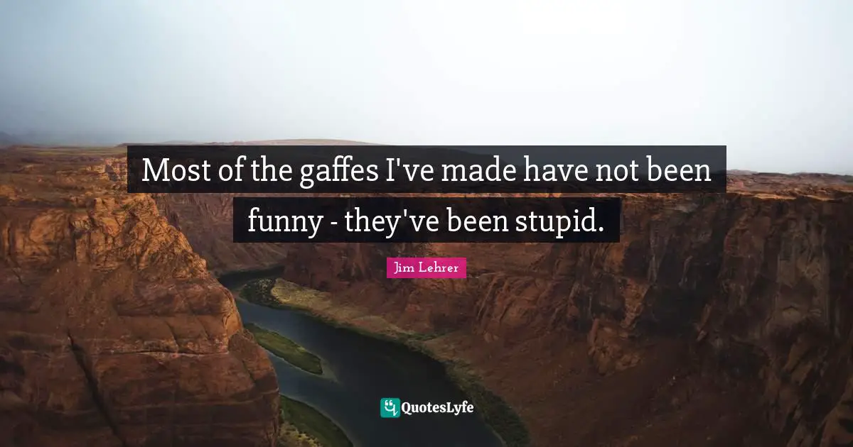 Most of the gaffes I've made have not been funny - they've been stupid.