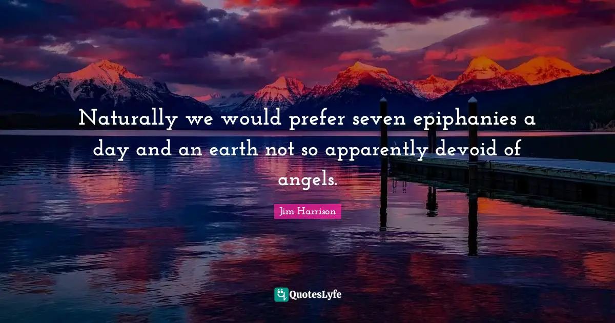 Jim Harrison Quotes: "Naturally we would prefer seven epiphanies a day and an earth not so apparently devoid of angels."