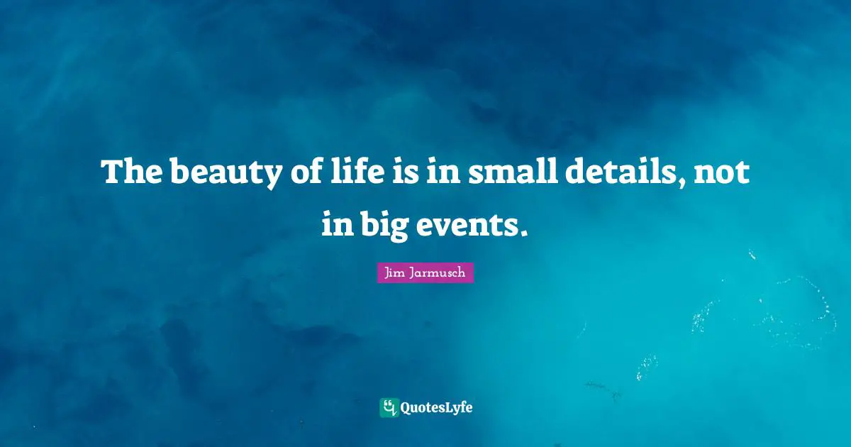 The beauty of life is in small details, not in big events.