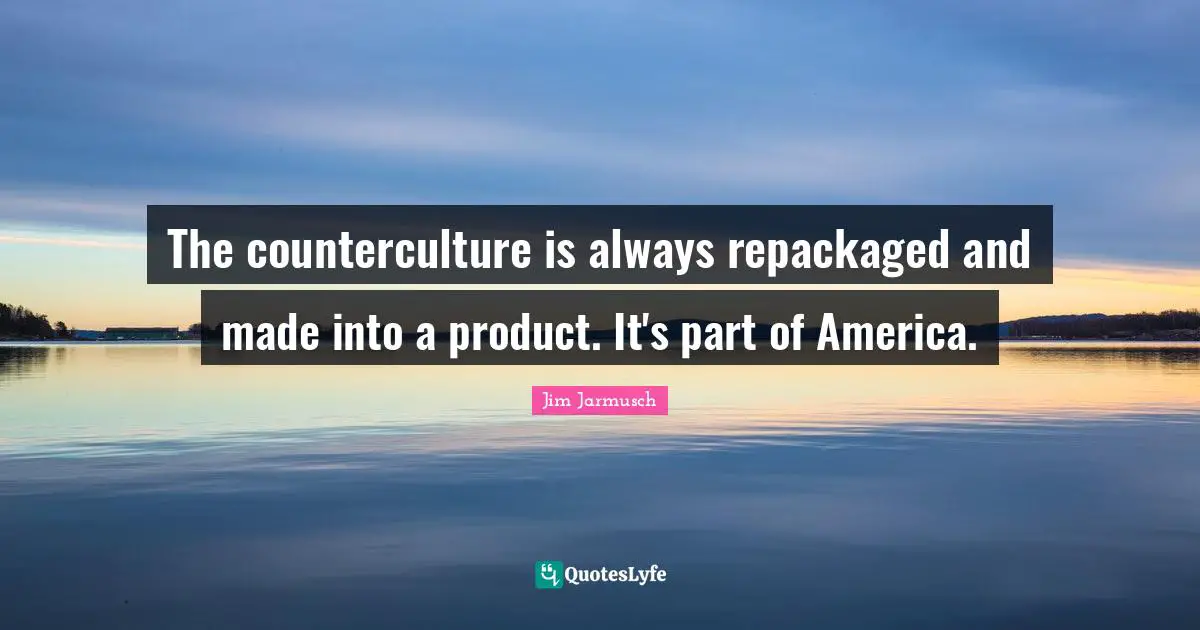 The counterculture is always repackaged and made into a product. It's part of America.