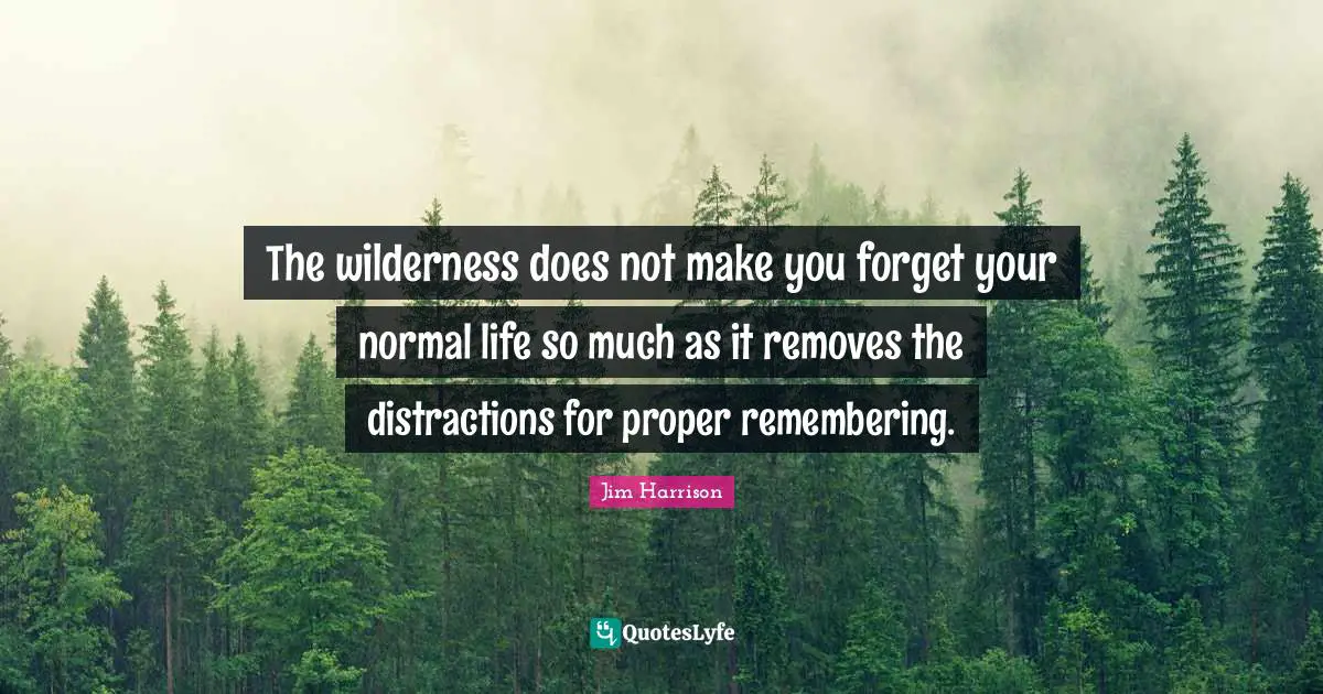 Travel Quotes: "The wilderness does not make you forget your normal life so much as it removes the distractions for proper remembering."