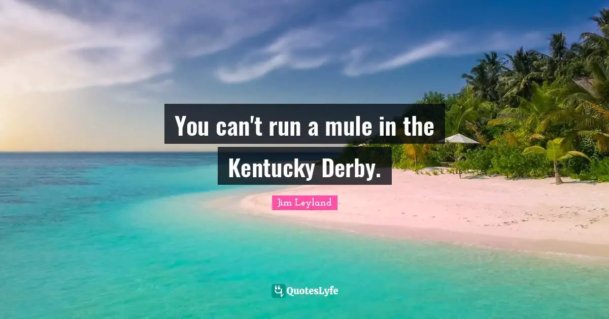 You can't run a mule in the Kentucky Derby.