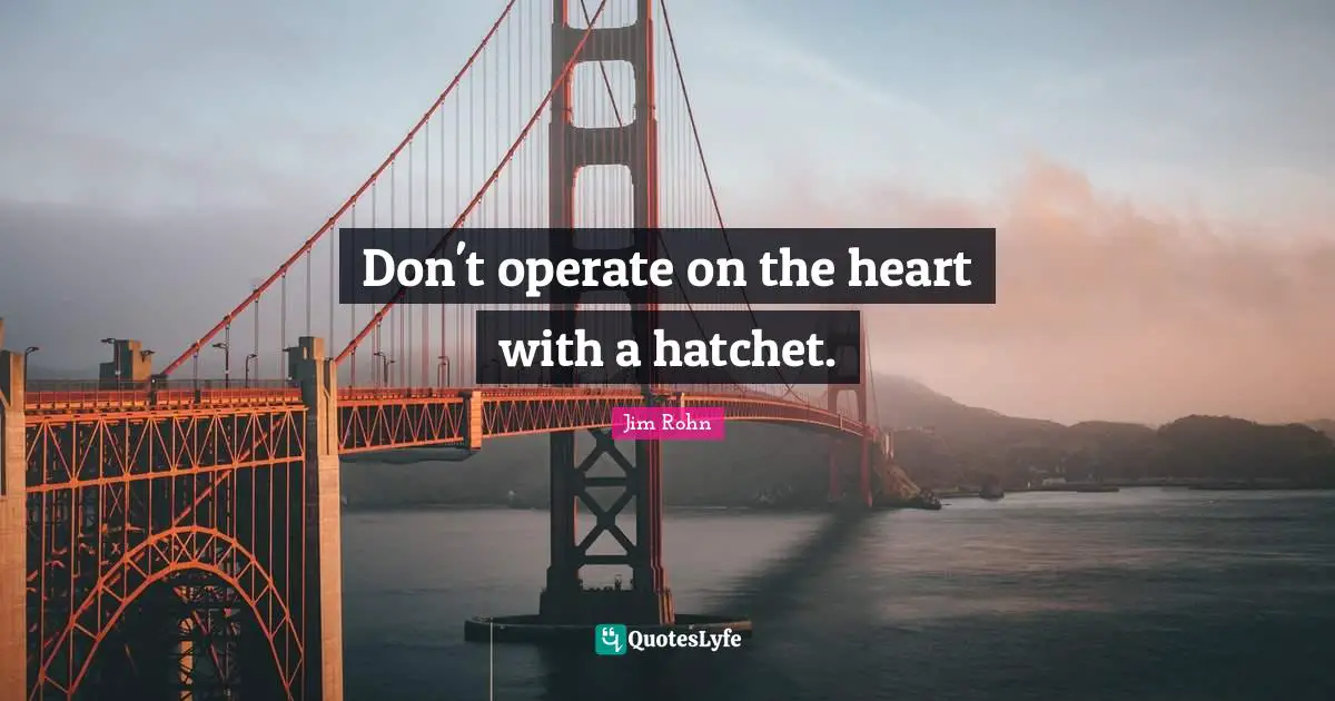 Don't operate on the heart with a hatchet.