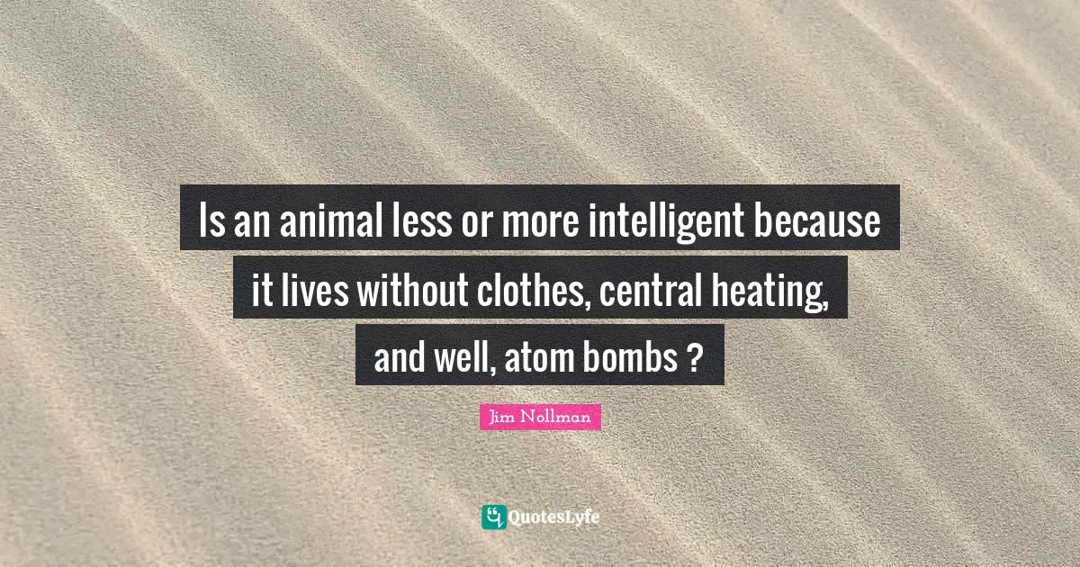 Is an animal less or more intelligent because it lives without clothes, central heating, and well, atom bombs ?