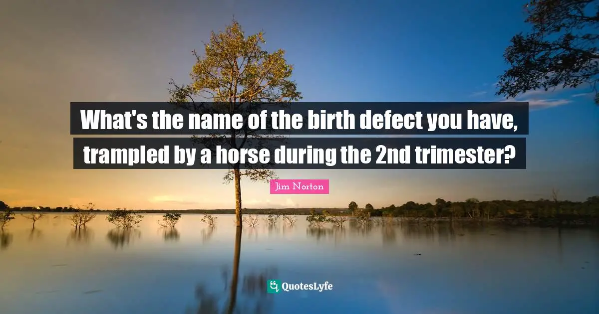 What's the name of the birth defect you have, trampled by a horse during the 2nd trimester?